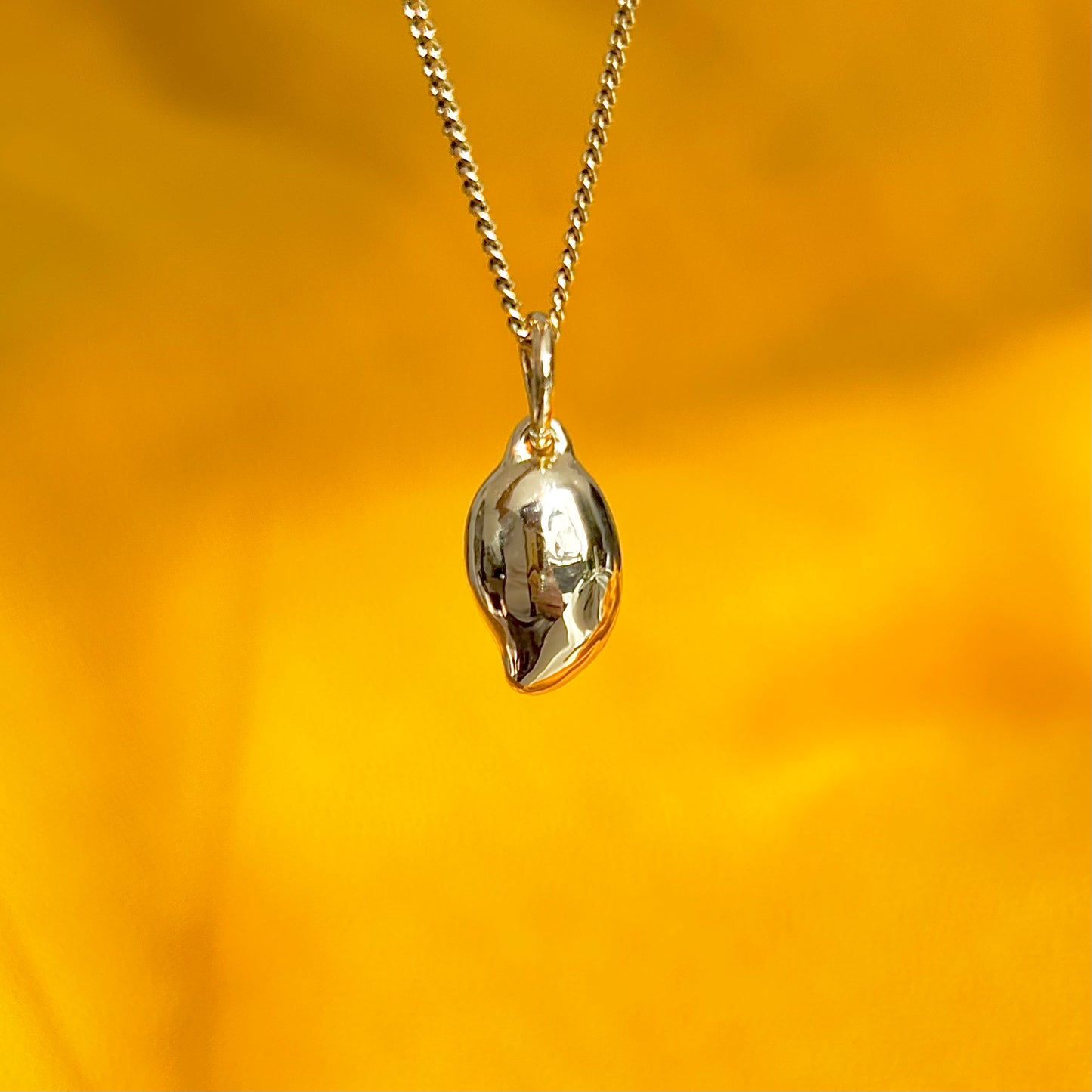 9k Mini Mango Charm